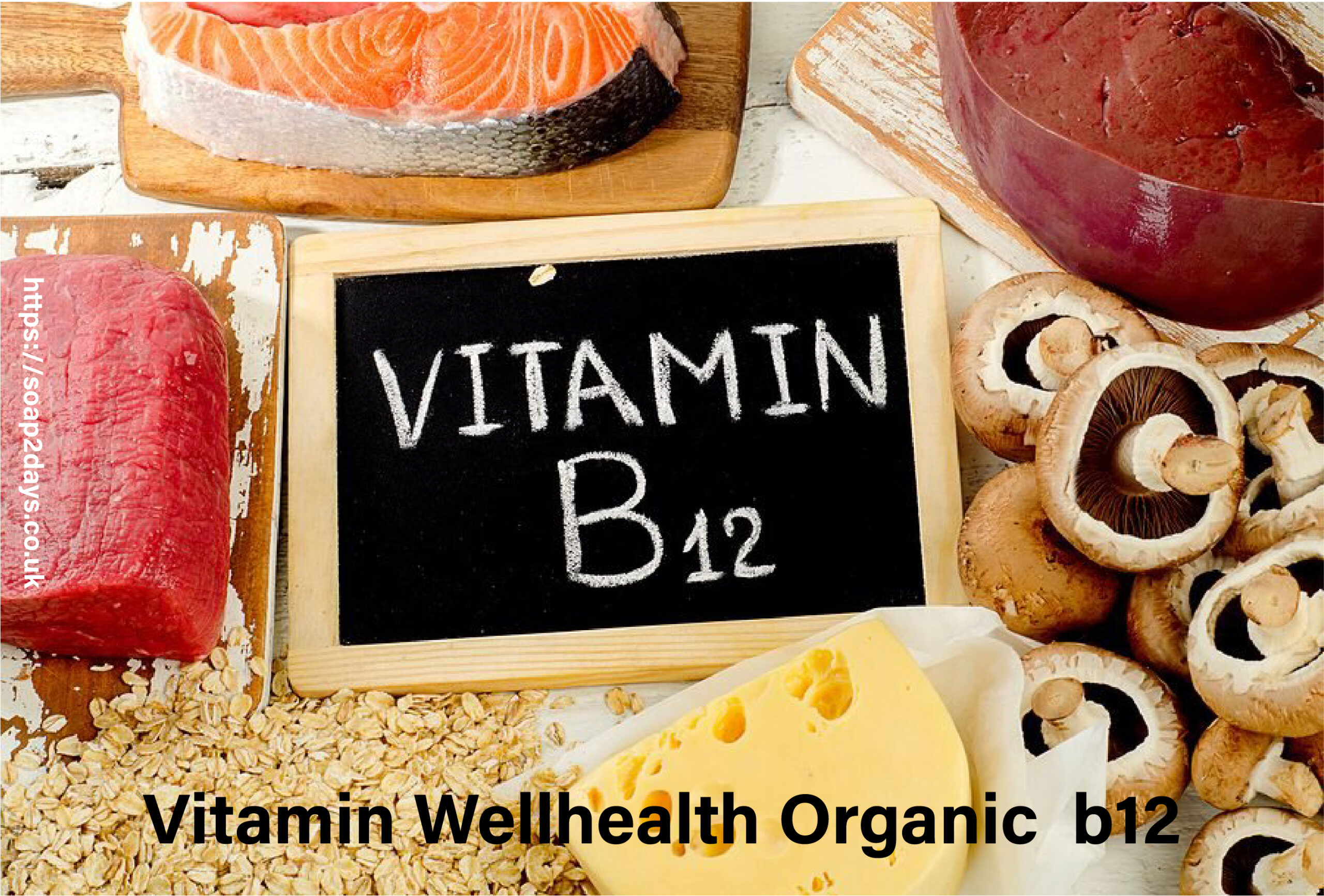 vitaminwellhealthorganic b12